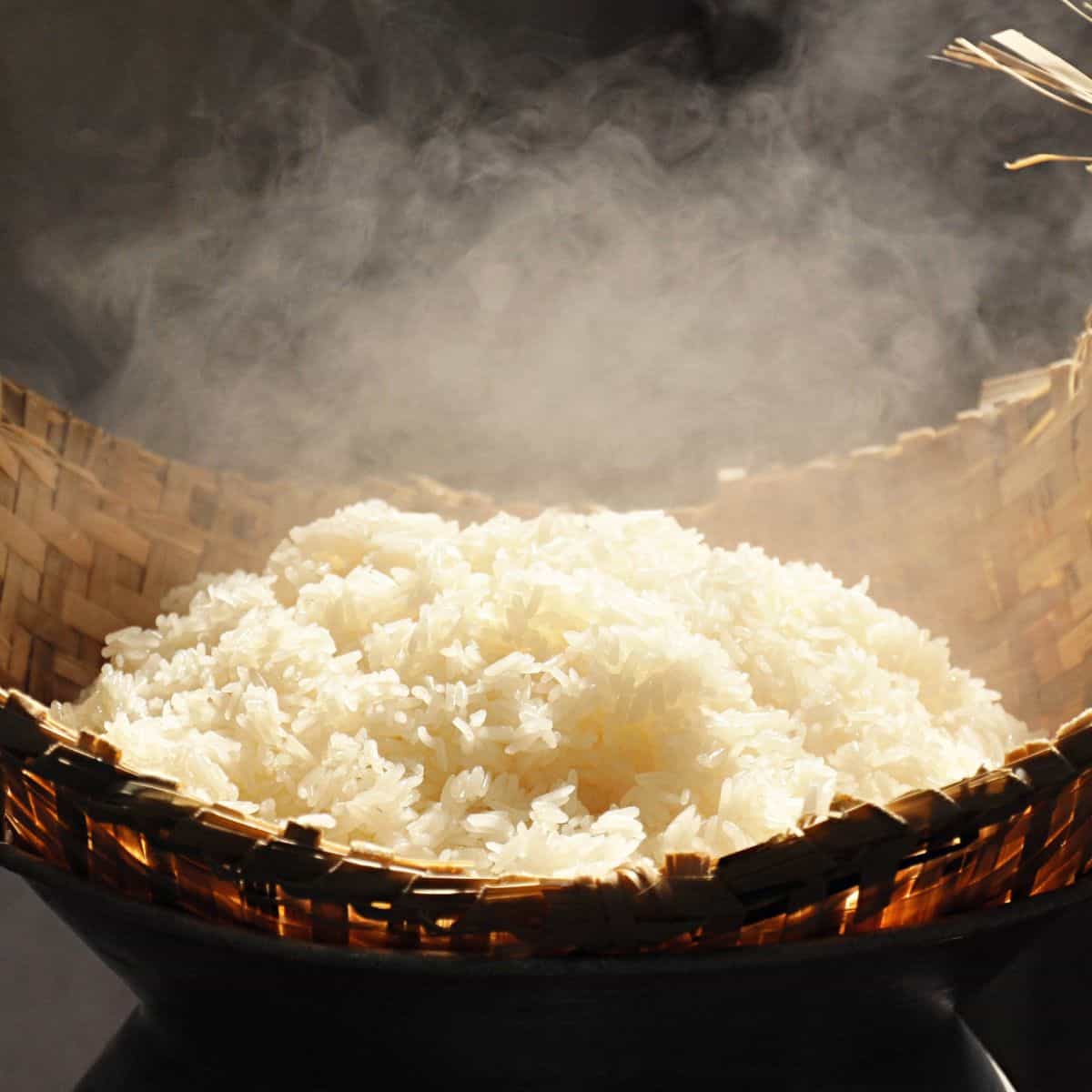 Sticky Rice Chicken Fried Rice